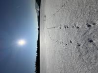 IMG_7227 (768x1024).jpg